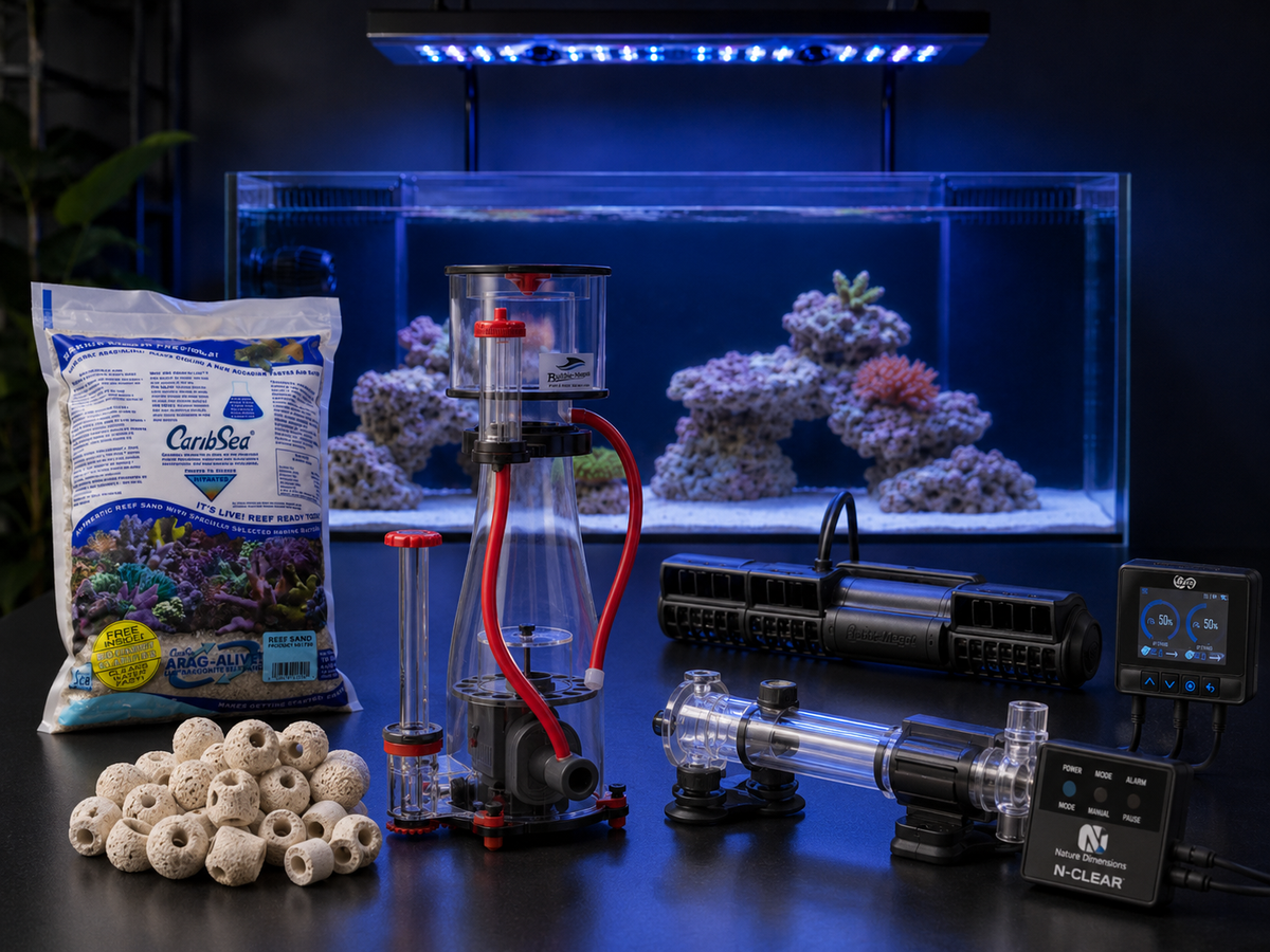 Aquarium Flow, Filtration, & Lighting