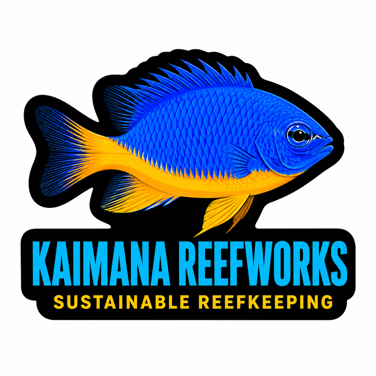 Kaimana Reefworks Sticker — Azure Damselfish