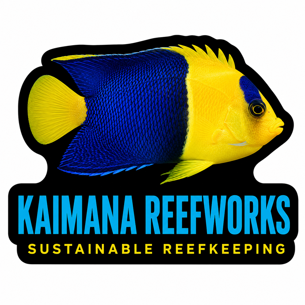 Kaimana Reefworks Sticker — Bicolor Angelfish