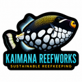 Kaimana Reefworks Sticker — Clown Triggerfish