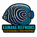 Kaimana Reefworks Sticker — Emperor Angelfish