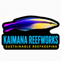 Kaimana Reefworks Sticker — Hawaiian Cleaner Wrasse