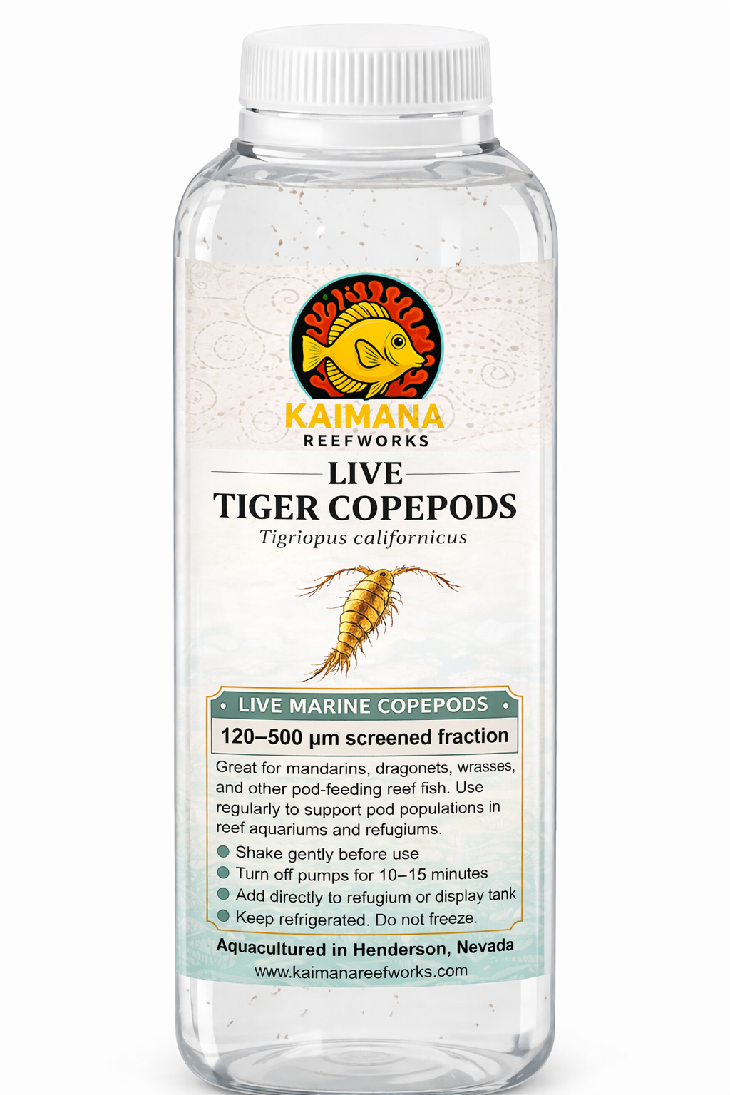 Tigriopus Copepods