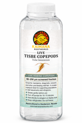 Tisbe Copepods