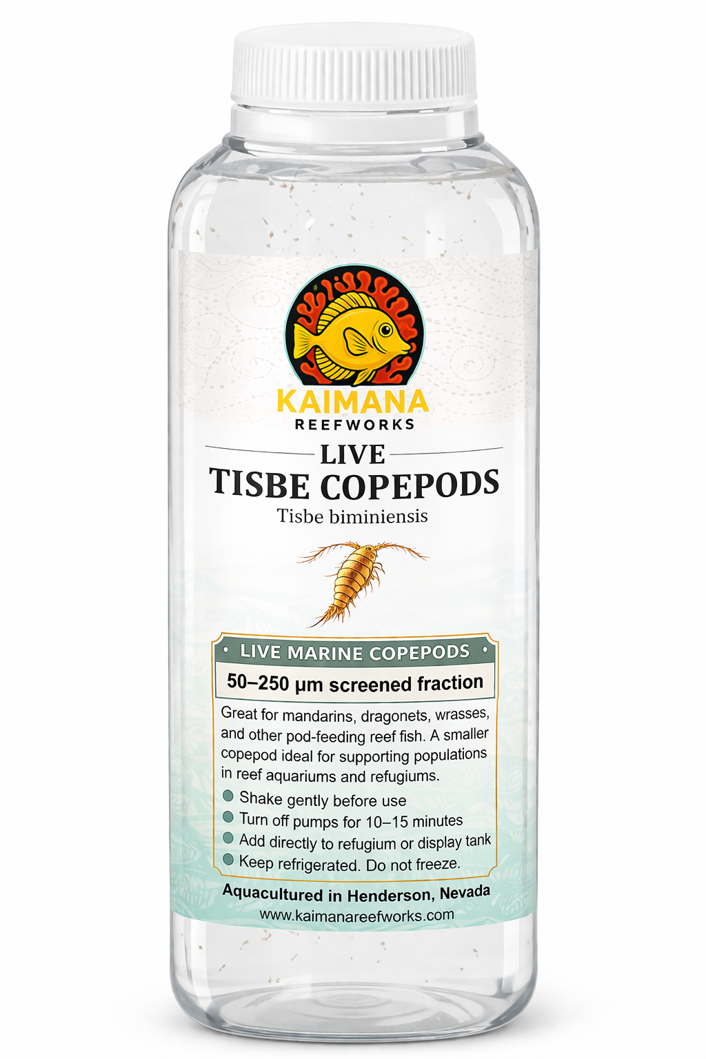 Tisbe Copepods