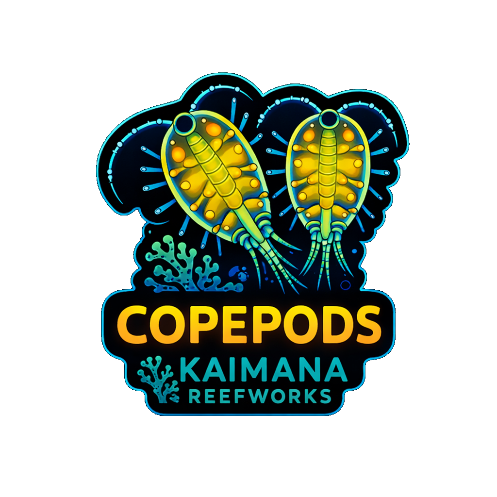 Kaimana Reefworks Sticker — Copepod