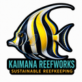 Kaimana Reefworks Sticker — Moorish Idol